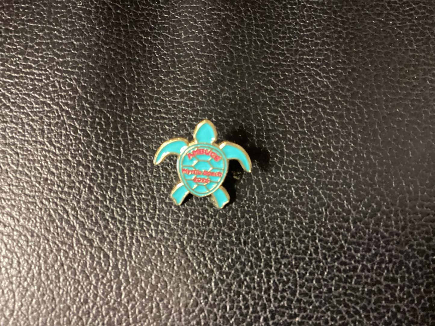 2026 National AMBUCS Conference Pin