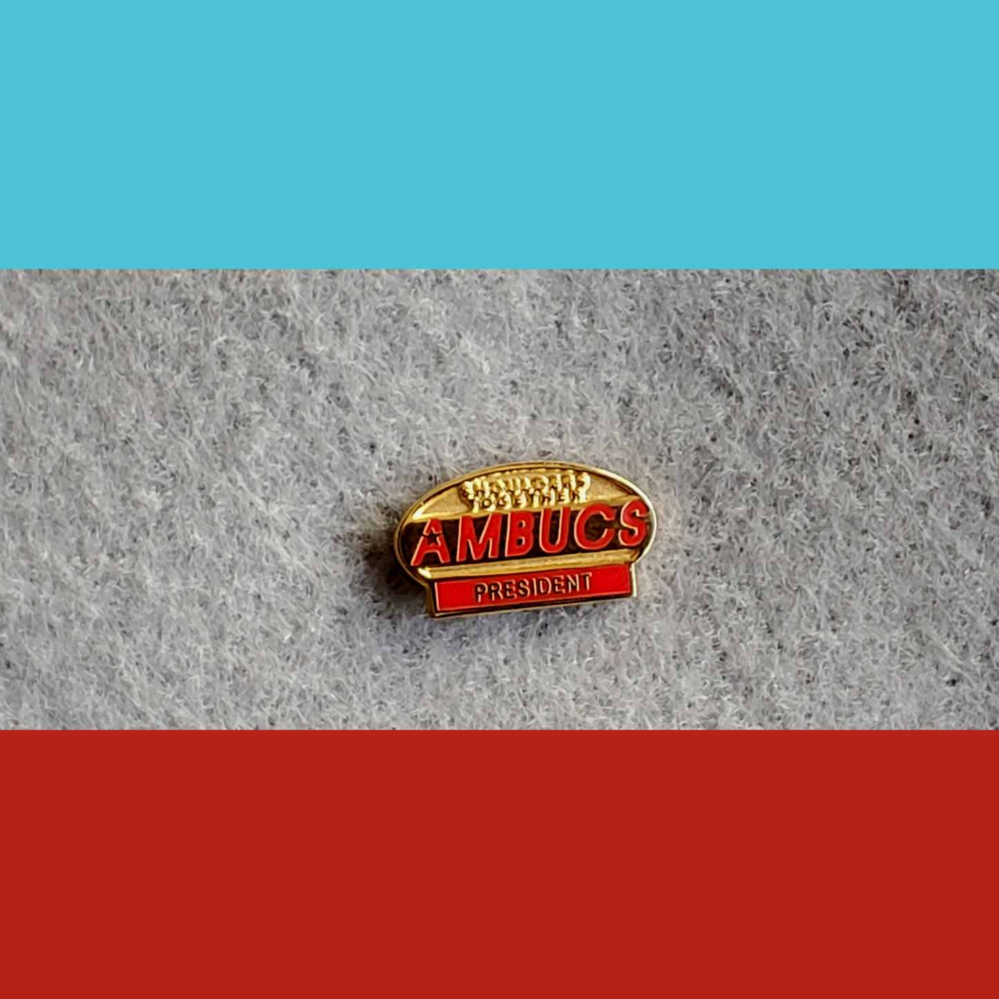 AMBUCS Lapel Pins