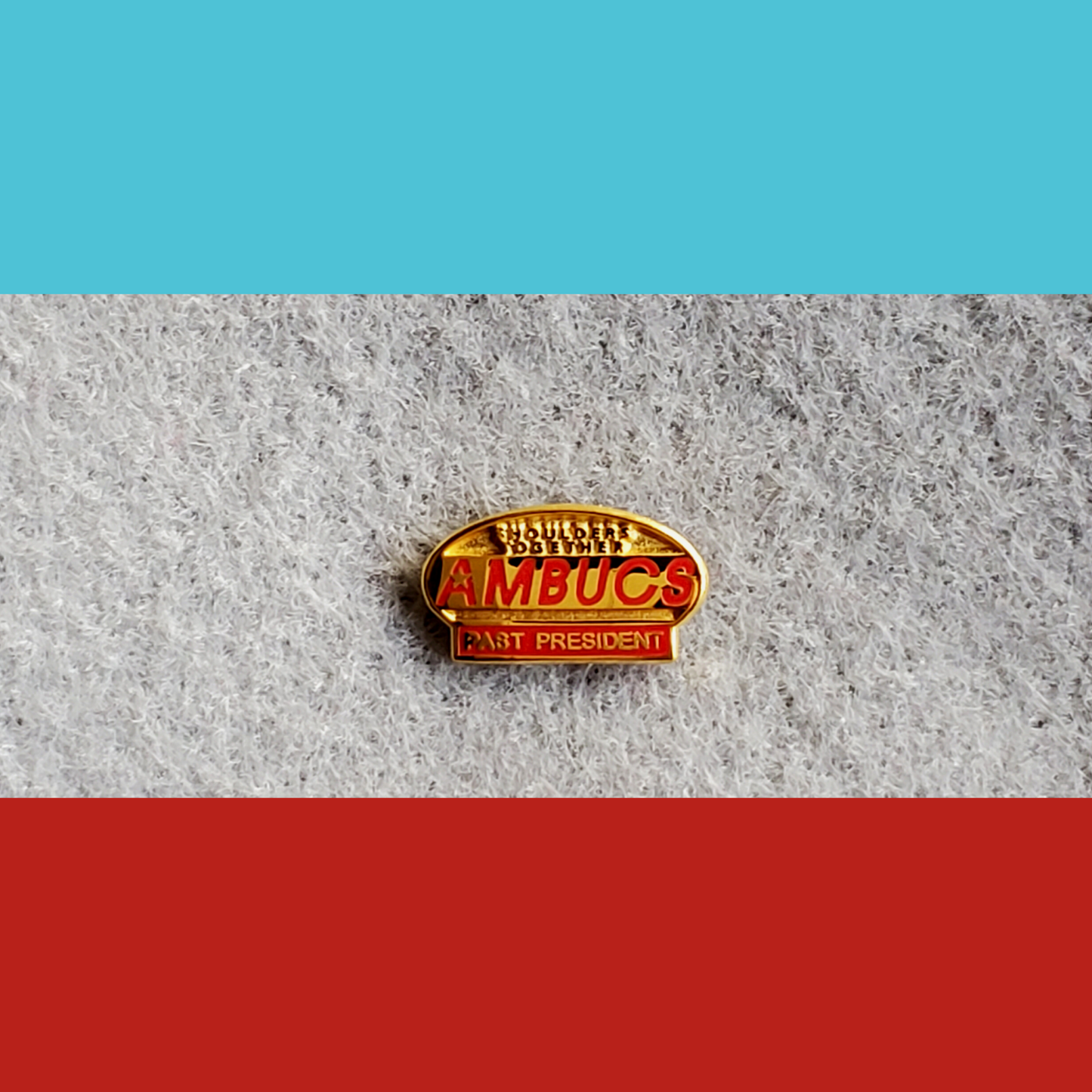 AMBUCS Lapel Pins