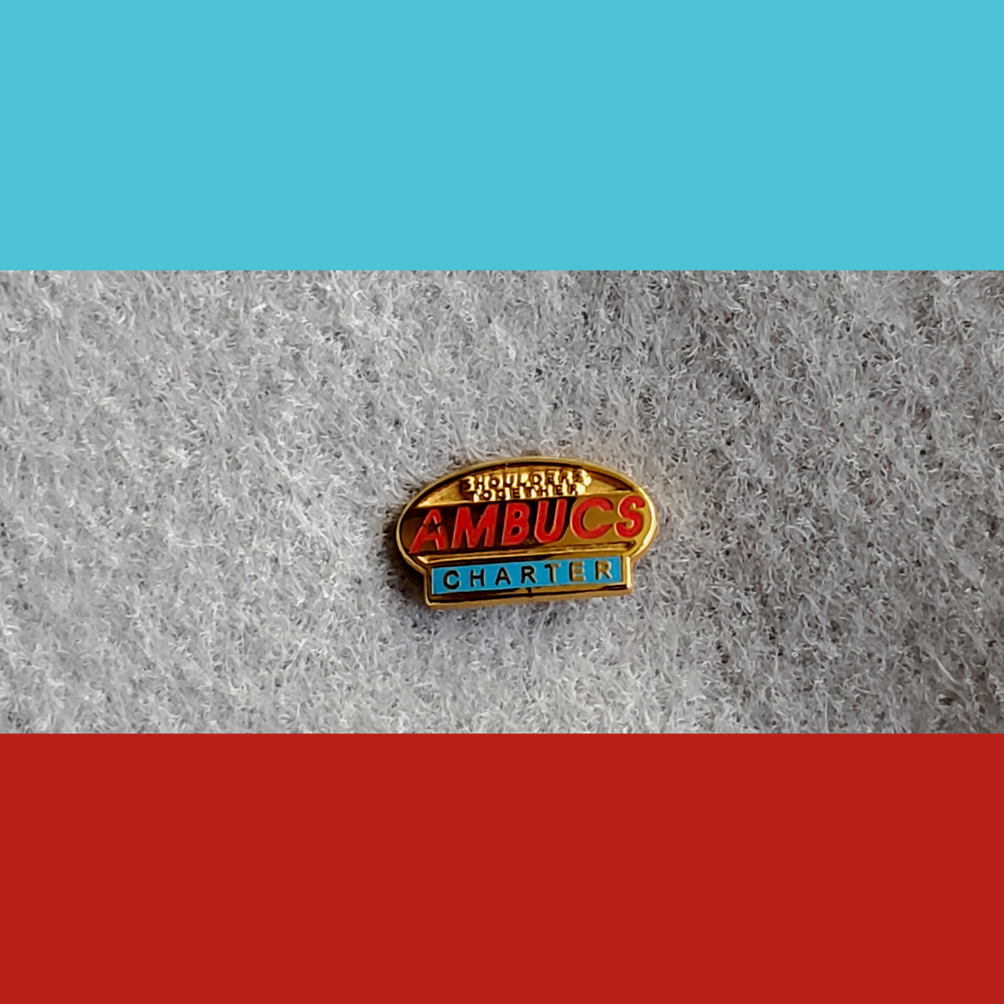 AMBUCS Lapel Pins