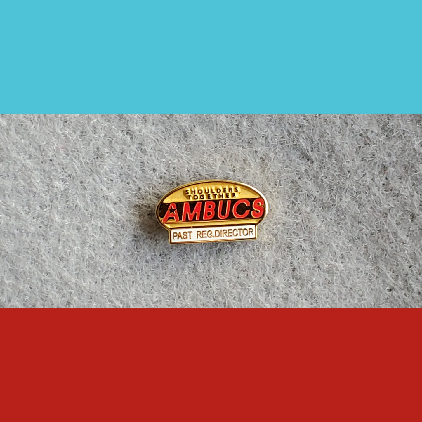 AMBUCS Lapel Pins