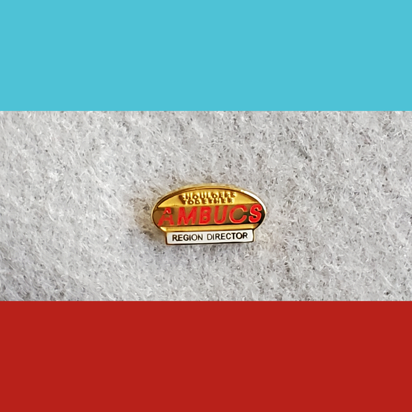 AMBUCS Lapel Pins