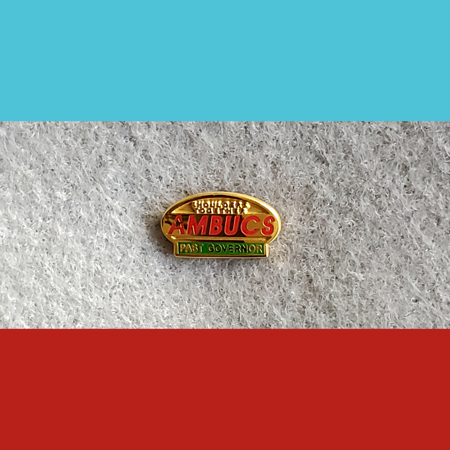 AMBUCS Lapel Pins