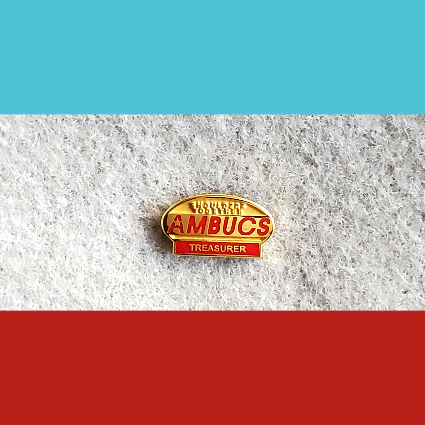 AMBUCS Lapel Pins