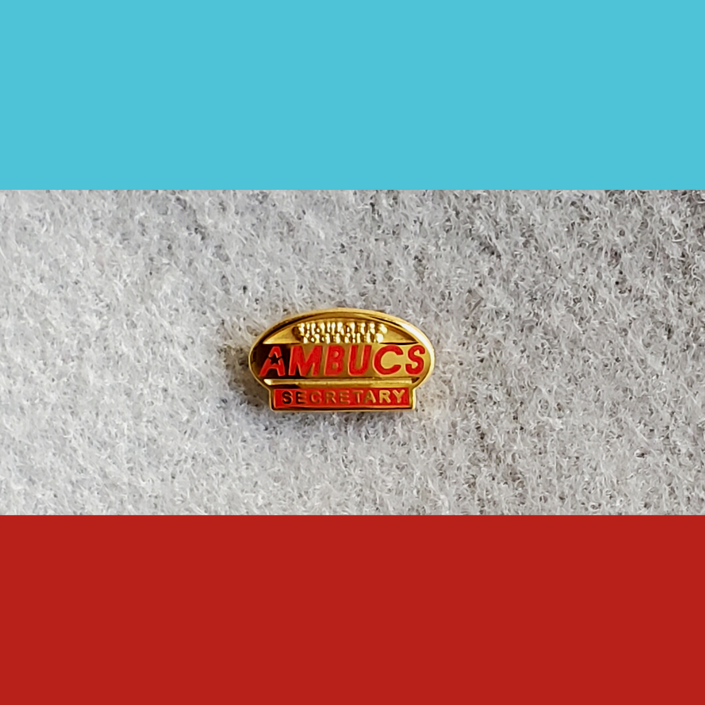 AMBUCS Lapel Pins