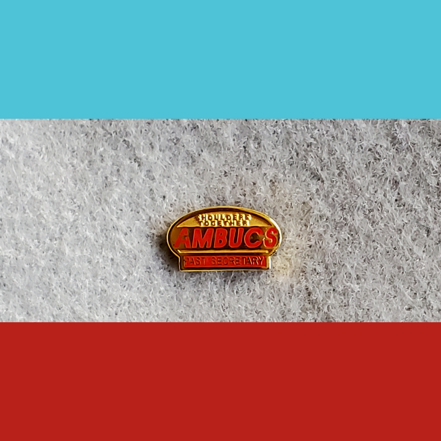 AMBUCS Lapel Pins