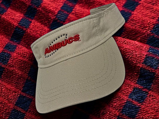 NEW! AMBUCS Visor