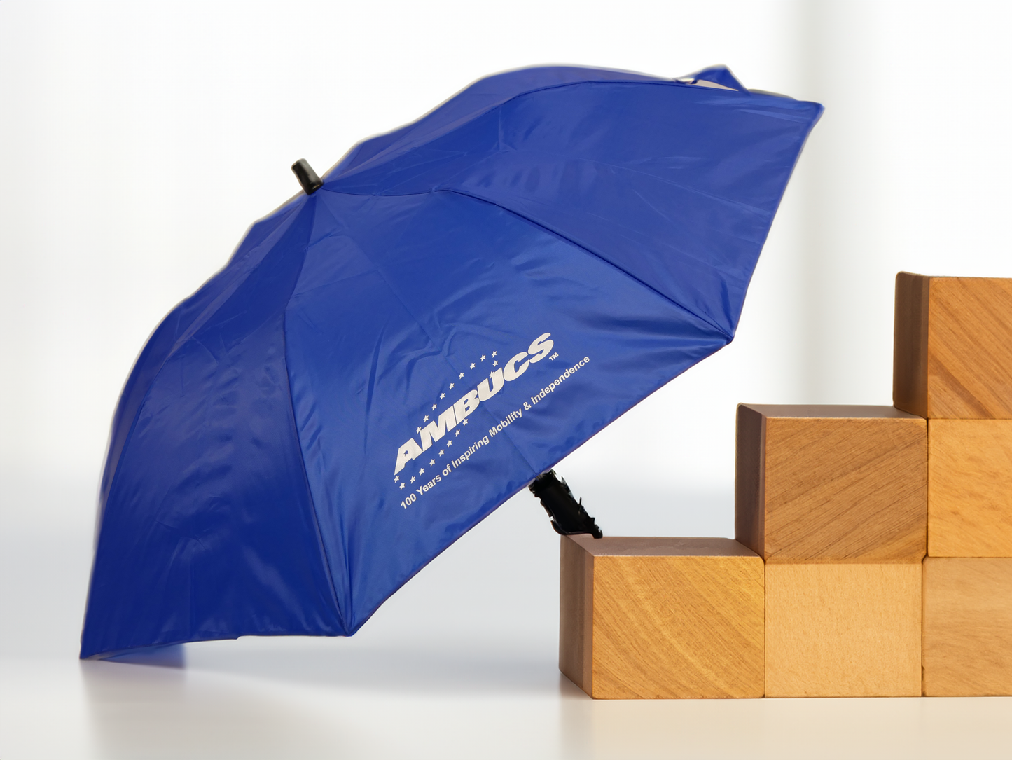 AMBUCS Umbrella