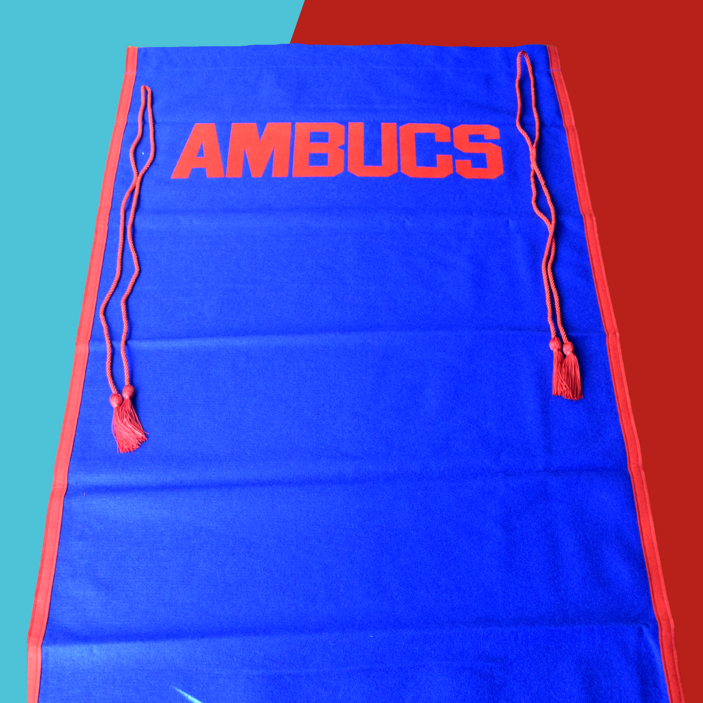 AMBUCS Felt Awards Banner